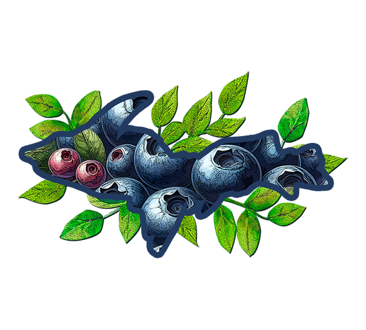 Michigan Blueberries Sticker/Magnet, Yooper Nature Design, U.P. Stickers