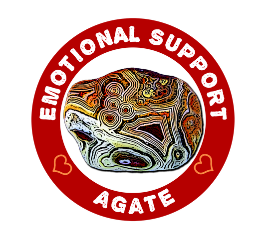 Agate Magnet, Rockhound Gift, Agate Gift, Rock Lover Gifts, Rock Picking Fridge Magnet