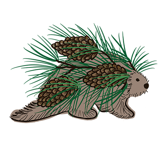 Porcupine Magnet, Upper Michigan, Yooper Fridge Magnets, Porkies