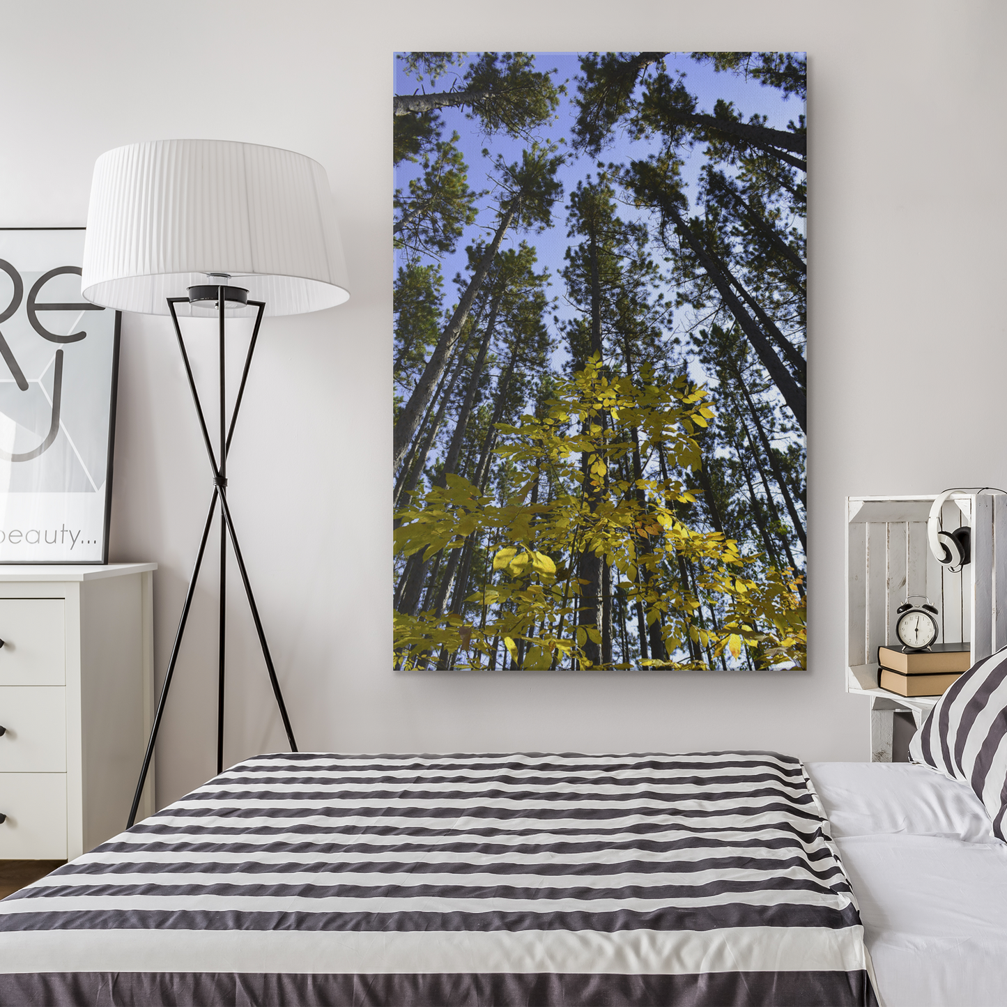Upper Michigan Wall Art | Yellow Leaves With Tall Pines | Canvas Art Print