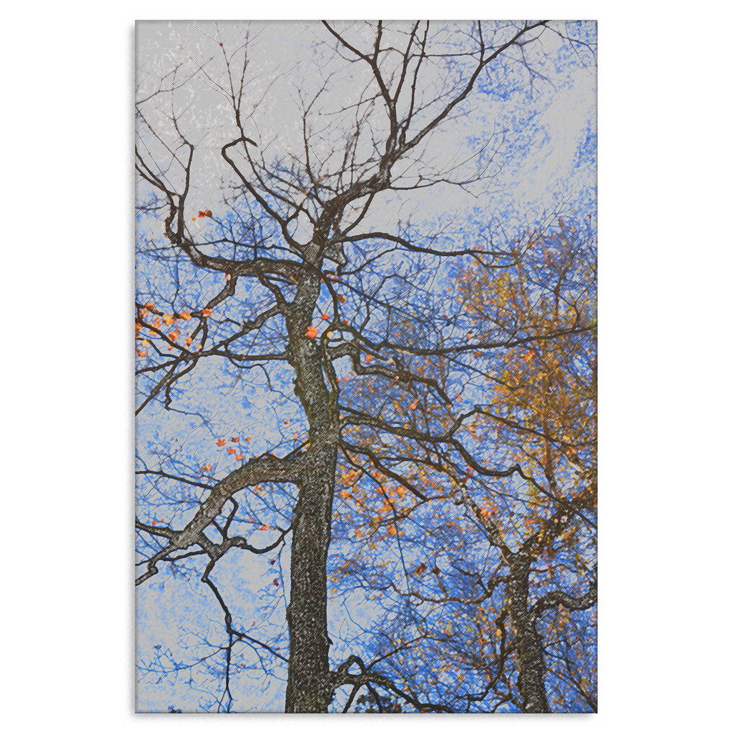 Tree Fall Colors Gallery Wrap Canvas Art Print - Yellow Leaves Blue Sky