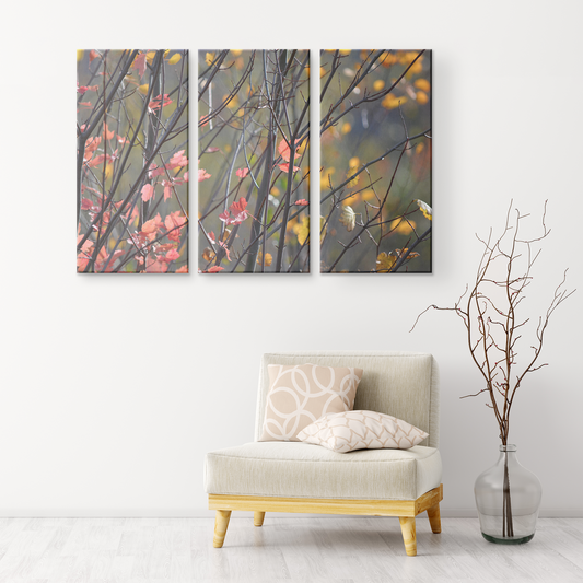 Upper Michigan Art | Fall Color Leaves in Pastels | 3-Piece Canvas Art Print