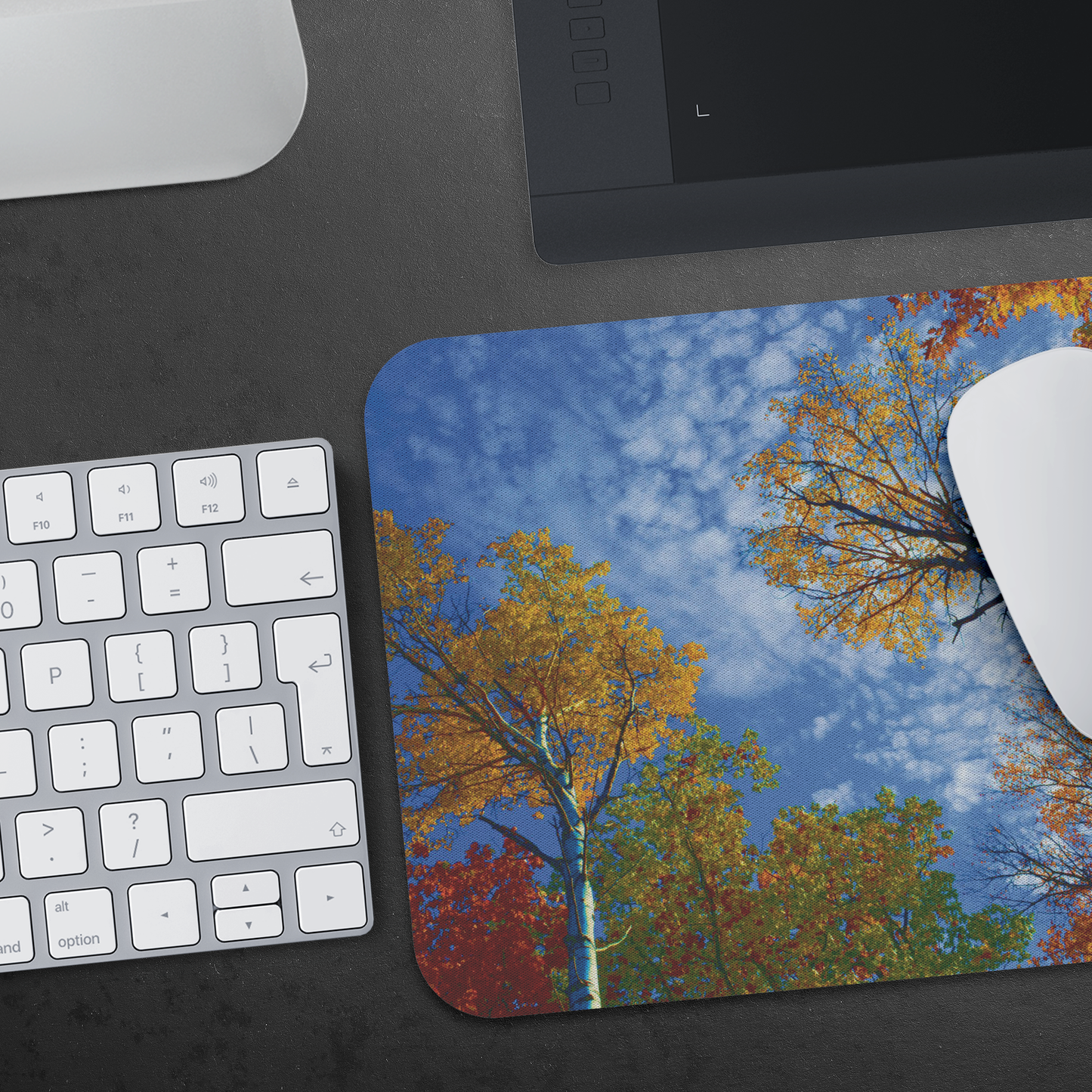Upper Michigan Mousepad | U.P. Fall Colors in Ontonagon County | Upper Peninsula Office Supplies