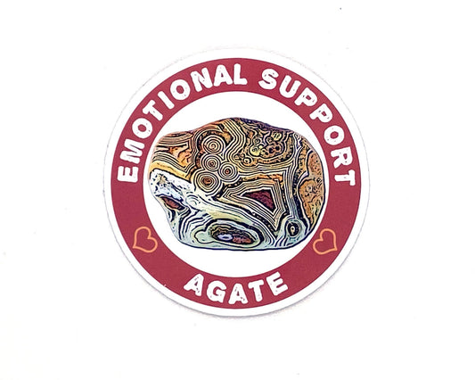 Agate Magnet, Rockhound Gift, Agate Gift, Rock Lover Gifts, Rock Picking Fridge Magnet