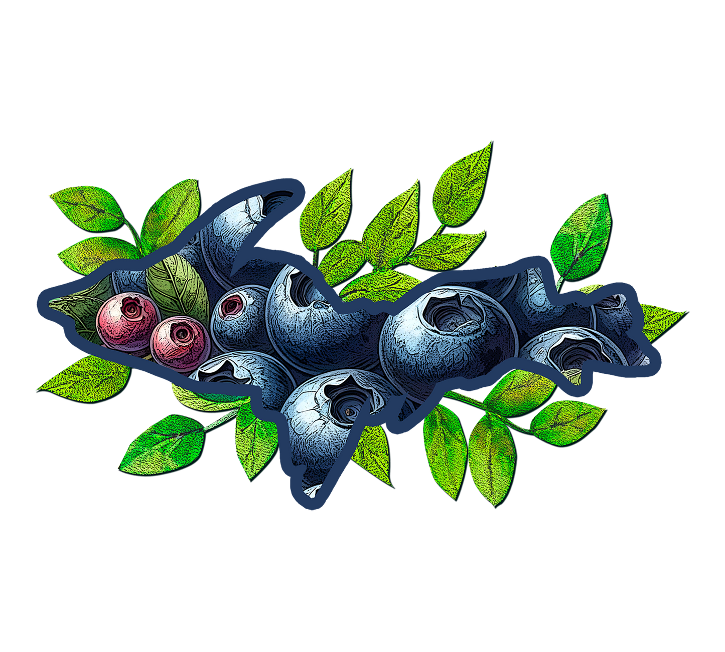 Michigan Blueberries Sticker/Magnet, Yooper Nature Design, U.P. Stickers