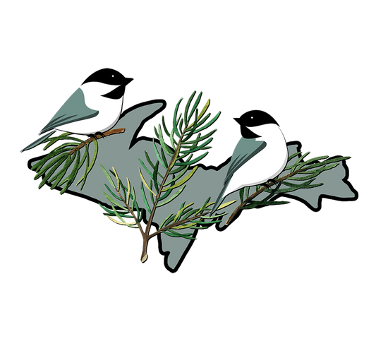 Chickadee Upper Michigan Magnet, Yooper Fridge Magnets, Birds and Pine Needles on Upper Peninsula