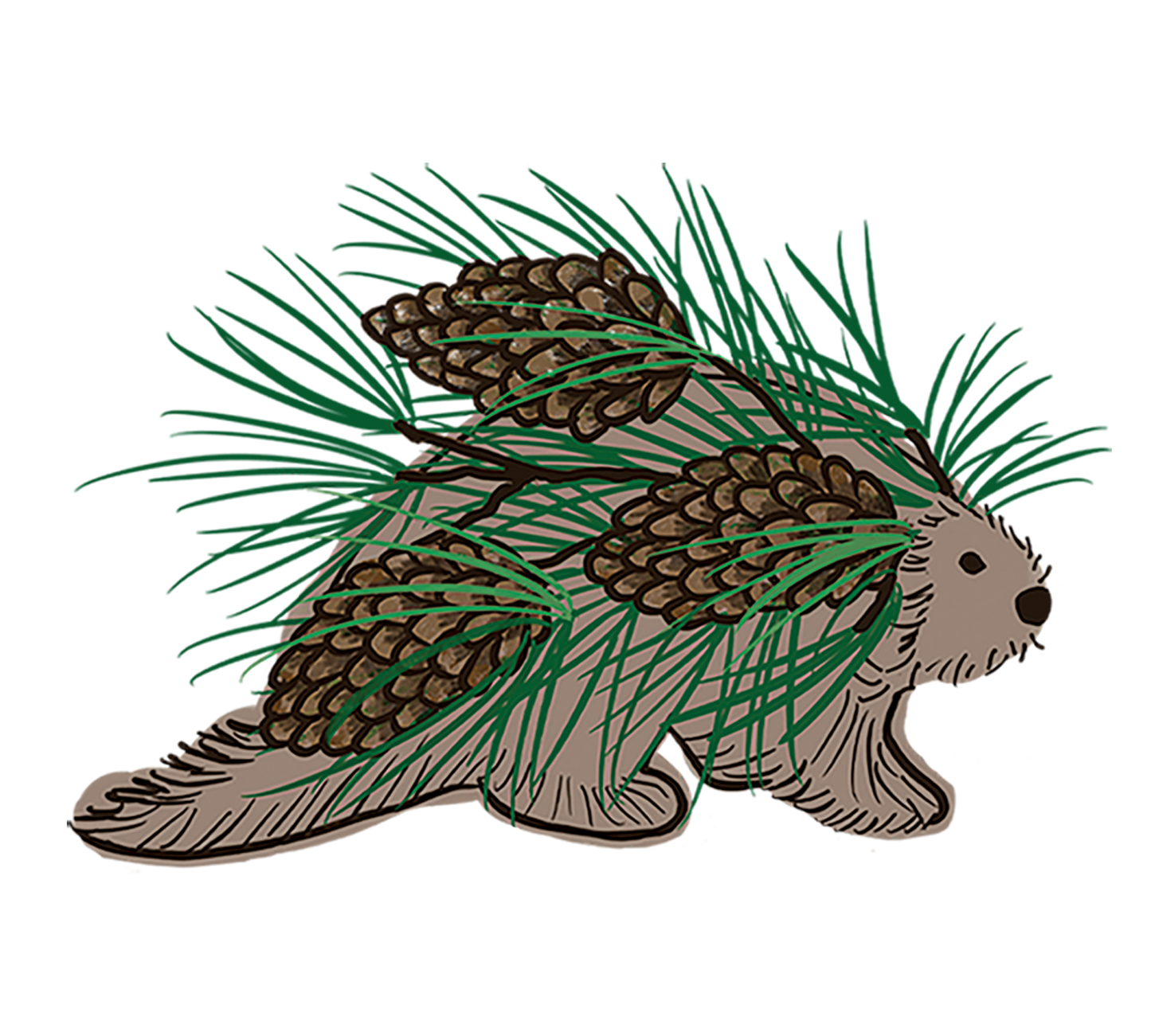 Porcupine Magnet, Upper Michigan, Yooper Fridge Magnets, Porkies