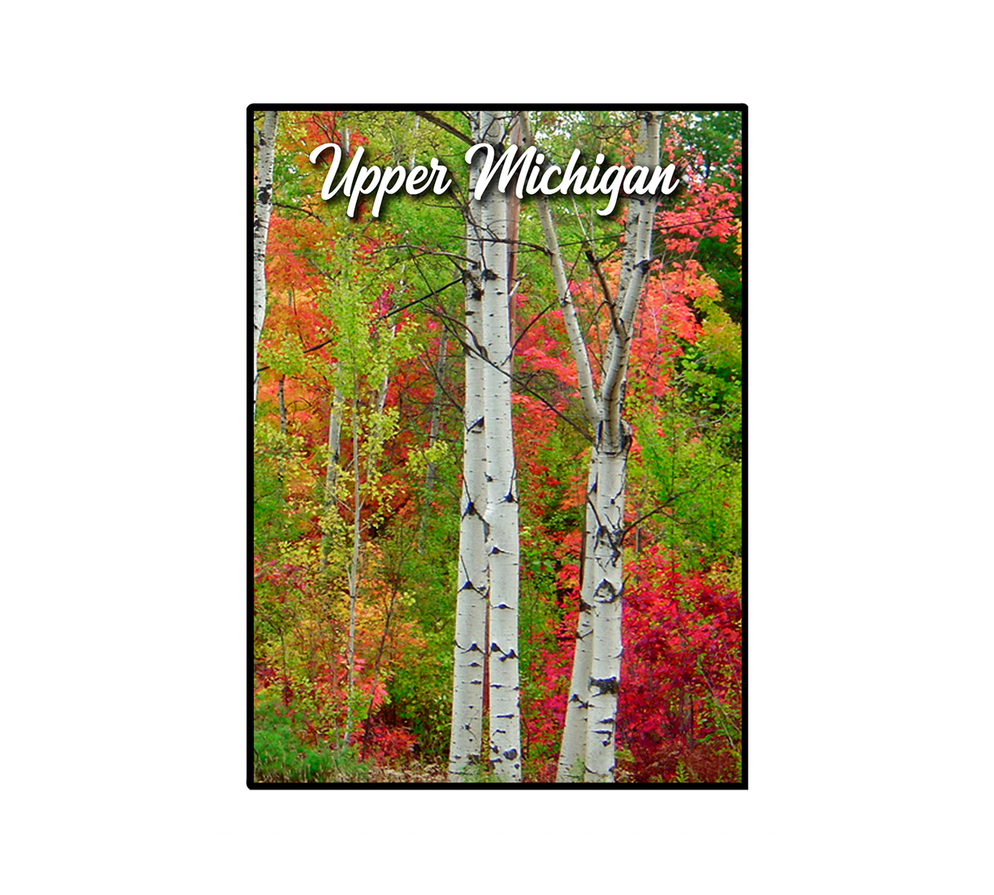 Upper Michigan in the Fall Sticker/Magnet, Postage Stamp, Red Leaves, White Birch