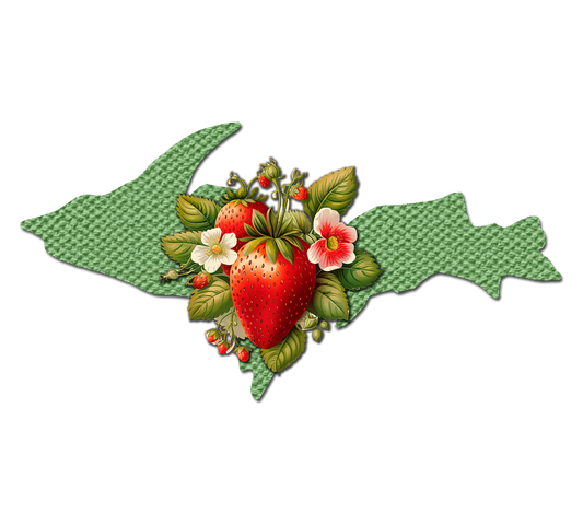 Strawberries Vintage Style U.P. Sticker/Magnet, Strawberry Festival Chassell Michigan