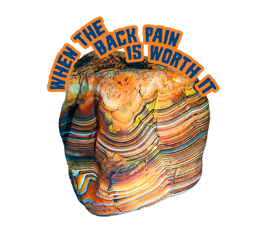 Agate Magnet, Rockhound Gift, Agate Gift, Rock Lover Gifts, Rock Picking Fridge Magnet