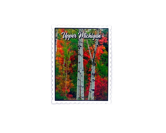 Upper Michigan in the Fall Magnet, Postage Stamp, Red Leaves, White Birch