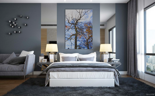 Tree Fall Colors Gallery Wrap Canvas Art Print - Yellow Leaves Blue Sky