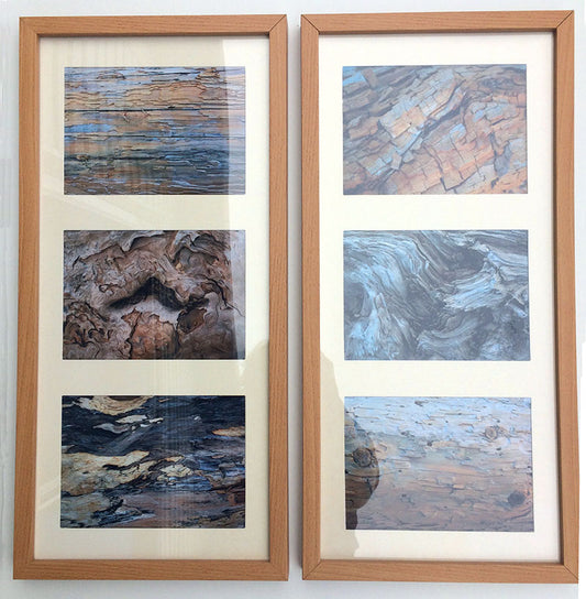 Driftwood Pattern Prints Set of 2
