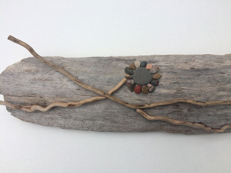 Rock Flowers on Lake Superior Driftwood