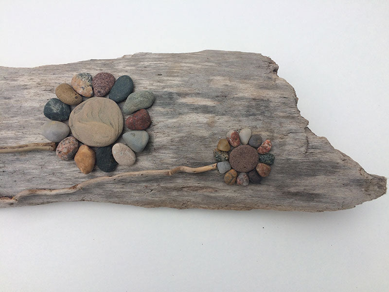 Rock Flowers on Lake Superior Driftwood