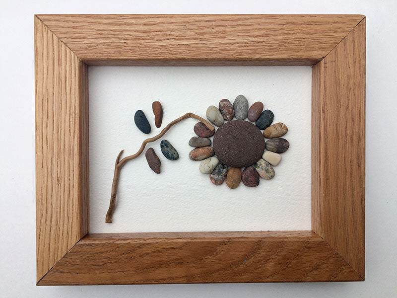 Rock Flowers and Driftwood in Frames Set of 4